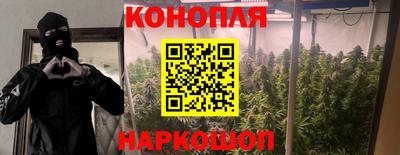 стафф Новодвинск