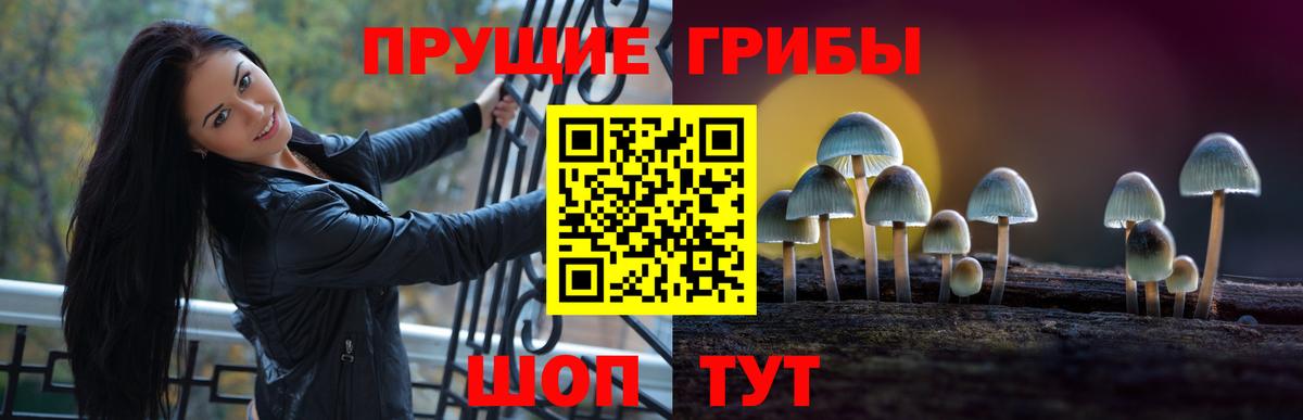Псилоцибиновые грибы Psilocybine cubensis  Вход с VPN  Шебекино  Псилоцибиновые грибы мицелий 